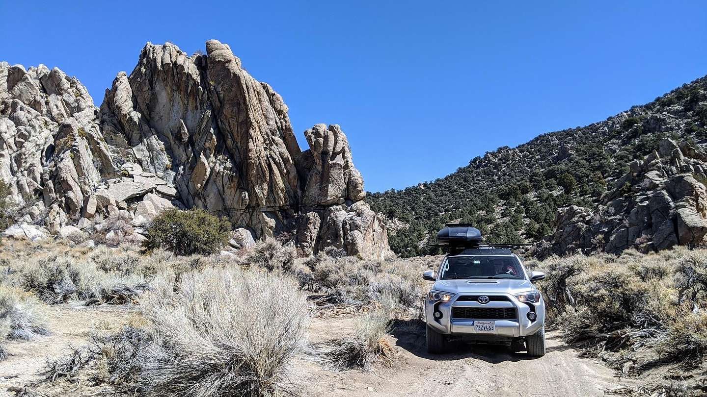 Along the 4WD Papoose Flat Road